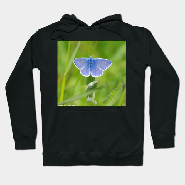 Common Blue butterfly Hoodie by Simon-dell